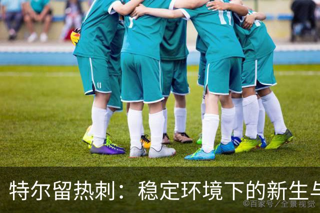 特尔留热刺：稳定环境下的新生与成长